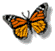 butterfly_ani_white.gif (3670 bytes)